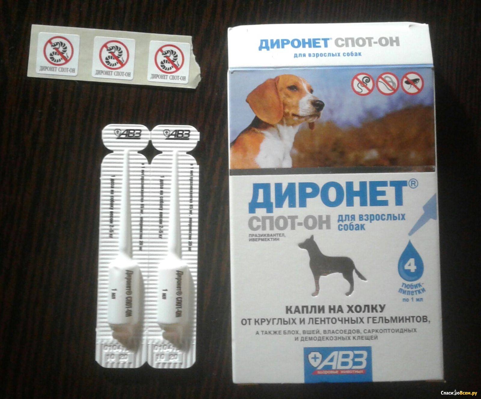 Капли инспектор для собак: инструкция по применению и отзывы заводчиков