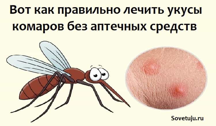 Что делать, если укусил малярийный комар