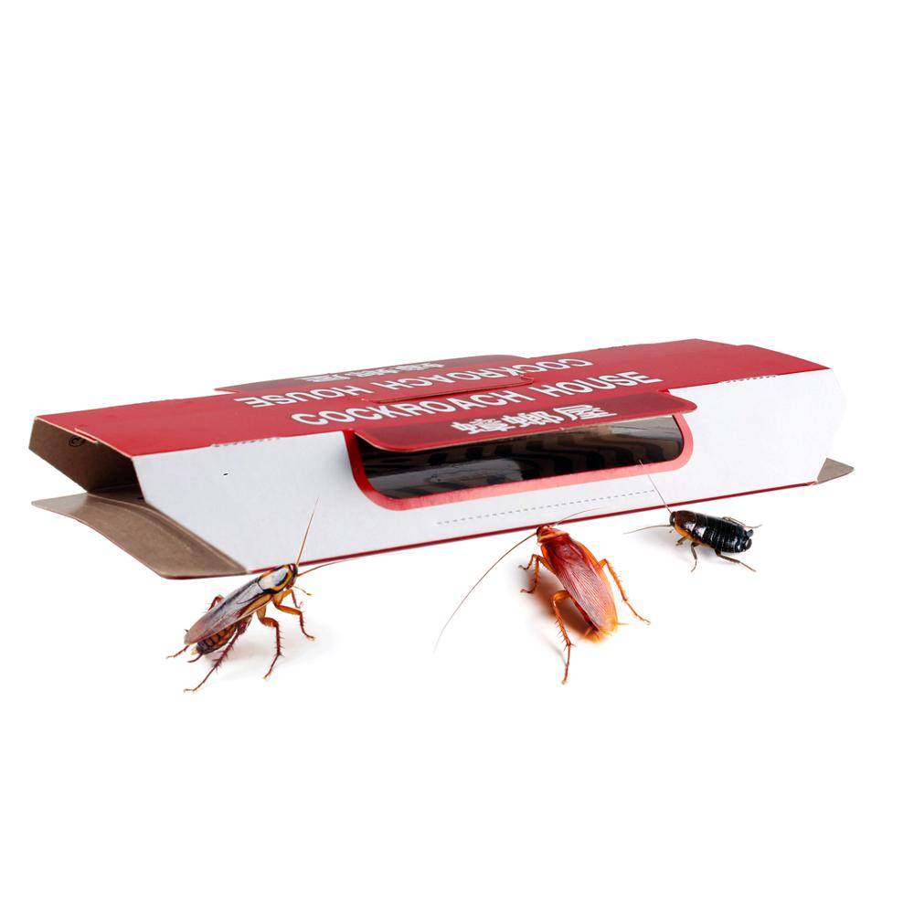 Ловушки для тараканов — обзор лучшего на рынке