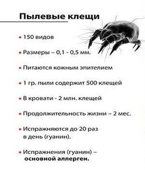 При какой температуре погибают. Клещи погибают при температуре. При какой температуре погибают клещи. При какой температуре погибает пылевой клещ. Температура гибели клещей пылевых.
