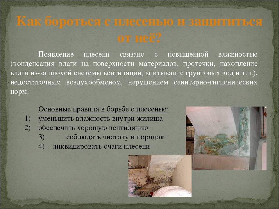 Чем опасна чёрная плесень в доме: негативное влияние и способы борьбы