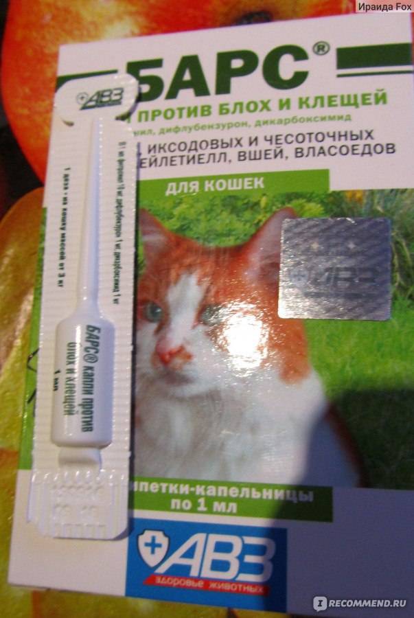 Что делать при отравлении каплями от блох: кошки, собаки отравление.ру