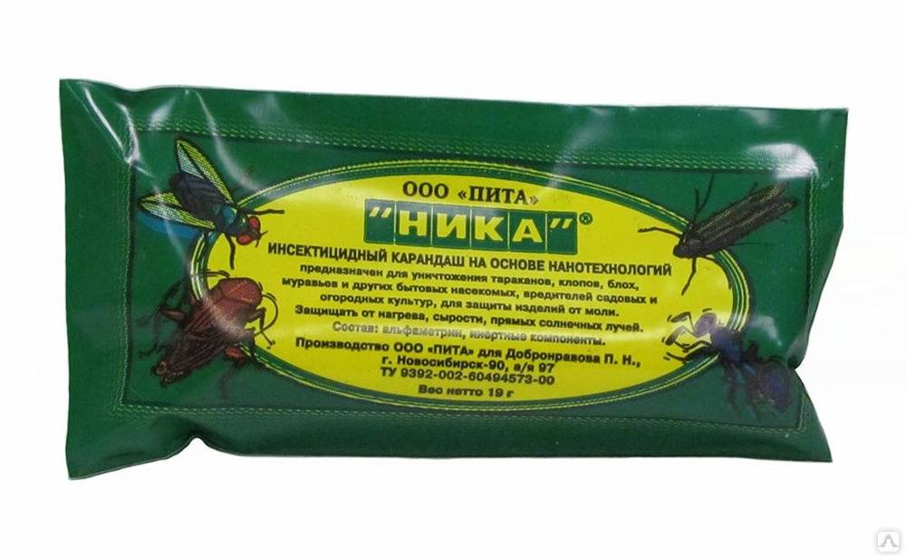 Лавровый лист от тараканов: просто и эффективно