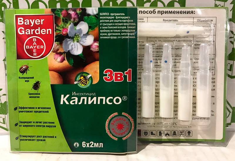 Современные средства для борьбы с постельными клопами: химия и физика