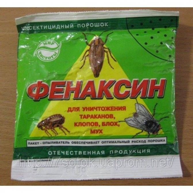 Дуст от тараканов: инструкция по применению, вреден ли для человека?