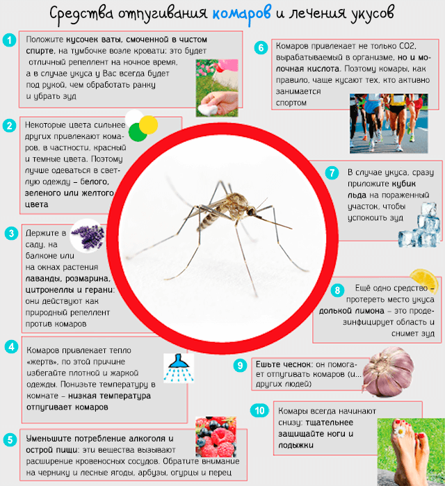 Сколько укусов комаров. Опасные комары.