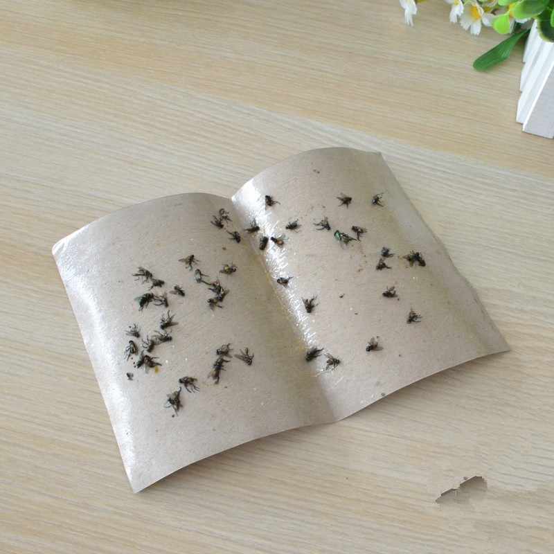 Как сделать ловушку для мух в домашних условиях