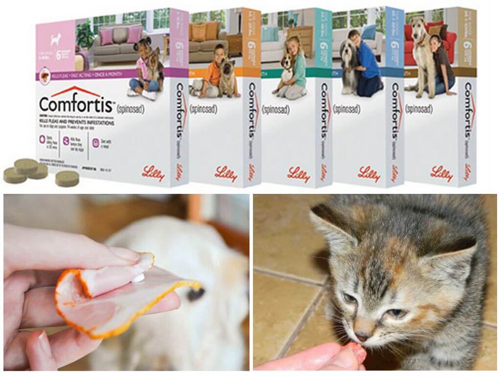 Таблетки от блох для кошек и собак комфортис: инструкция по применению