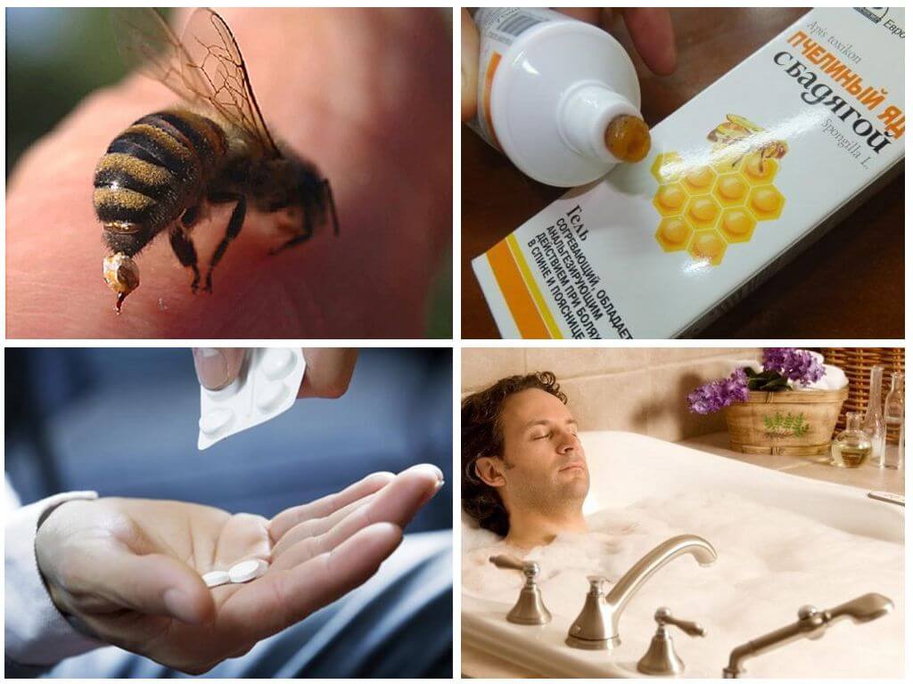 Действие пчелиного яда на организм человека