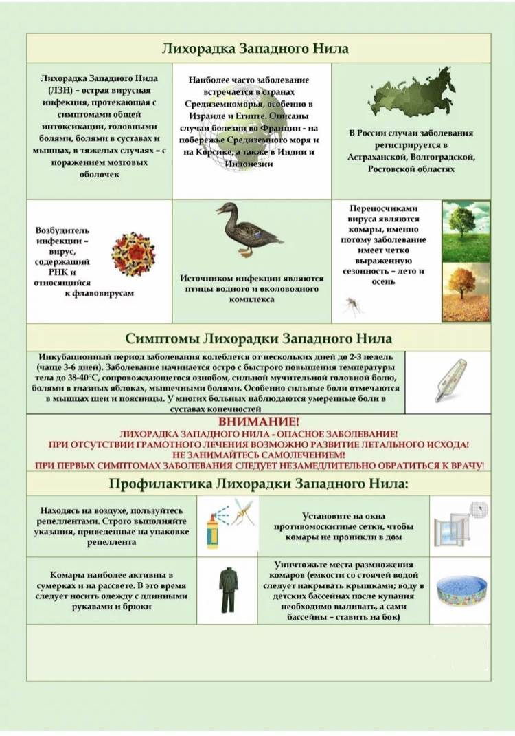 Лихорадка западного нила: симптомы и лечение - medside.ru