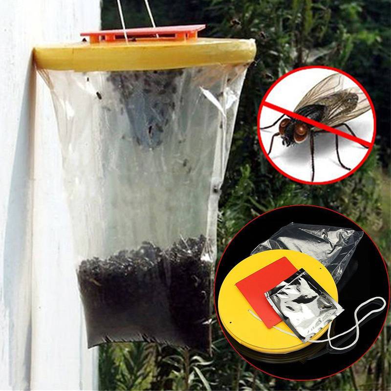 Ловушка для мух своими руками: как сделать эффективную и долговечную самодельную мухоловку (105 фото и видео)