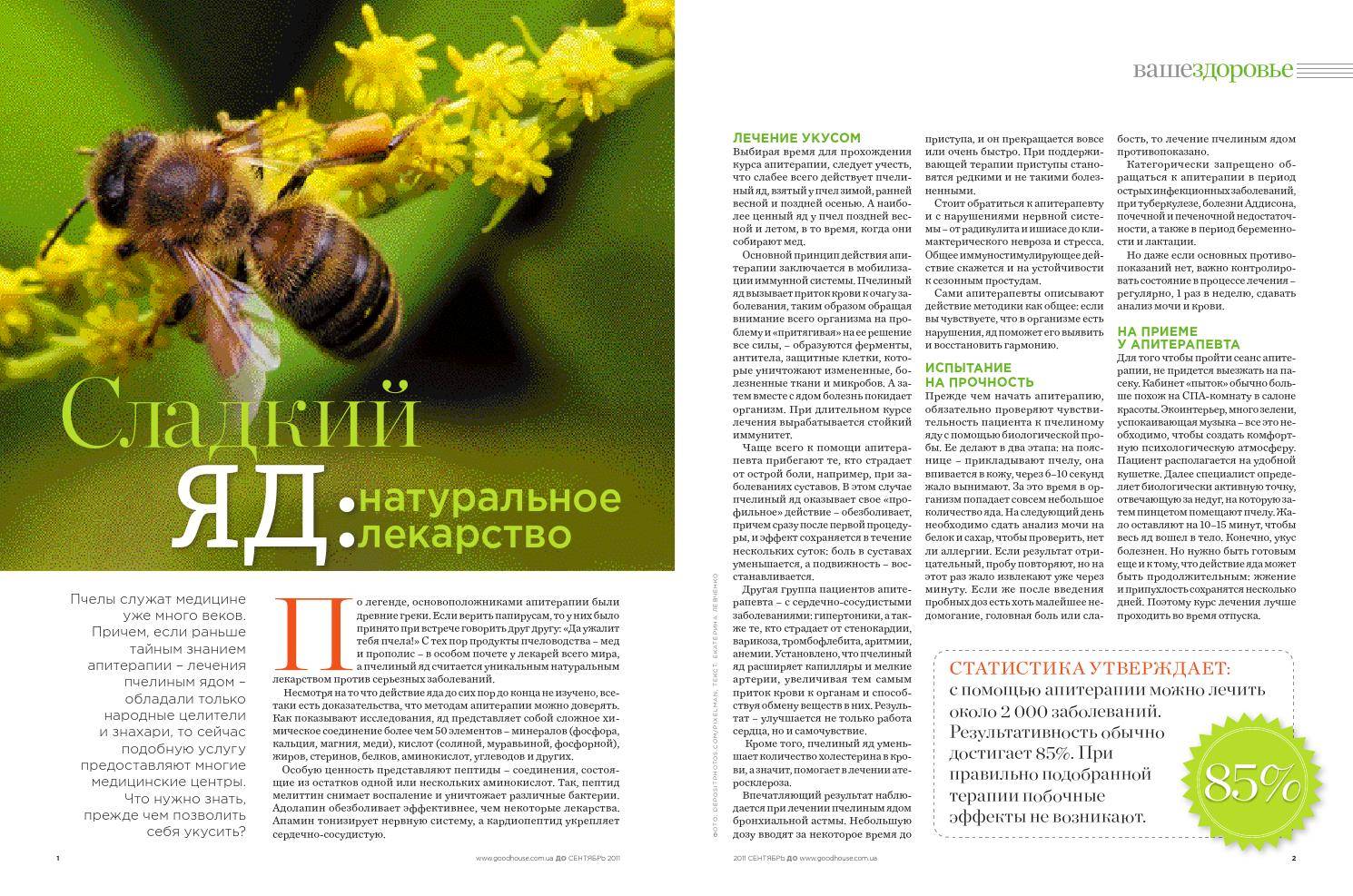 Апитерапия – лечение укусами пчел