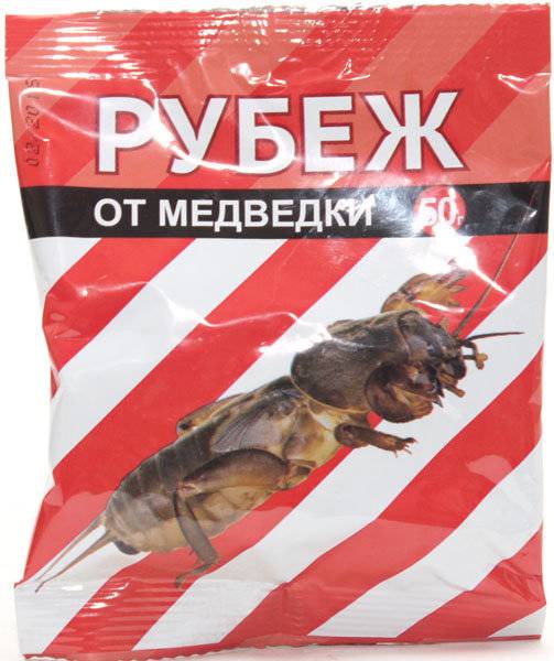 Регент от медведки: инструкция по применению отравы