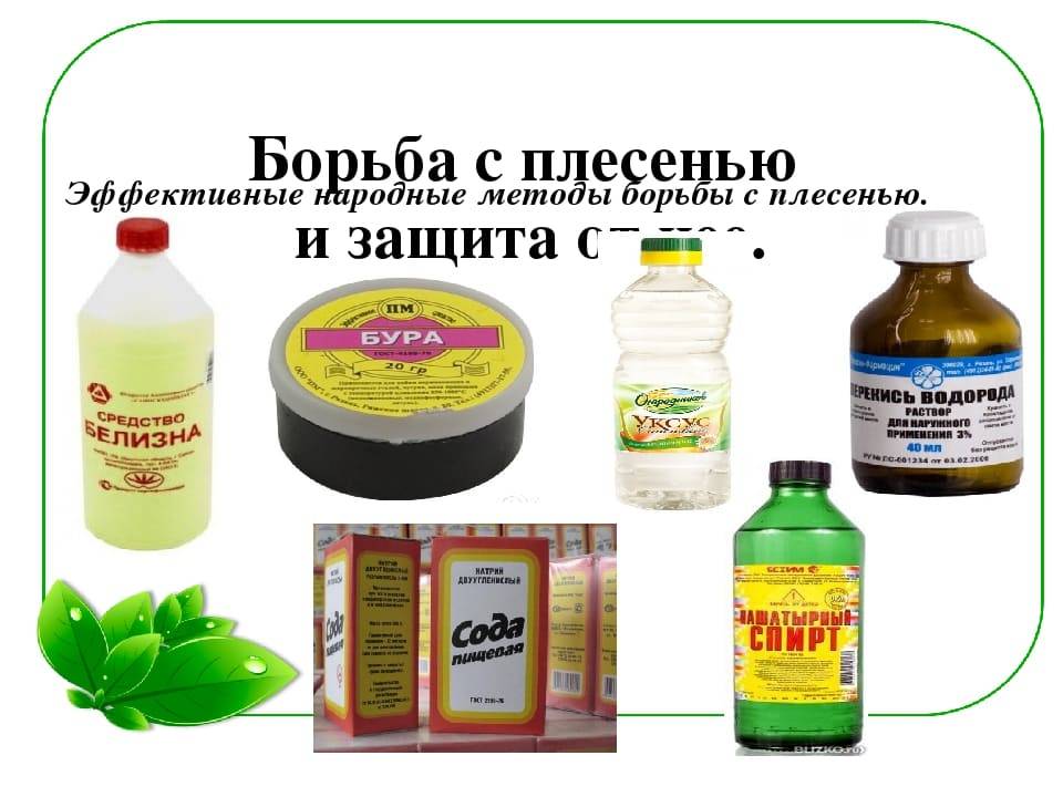 Обработка древесины от грибка и плесени народными и профессиональными средствами