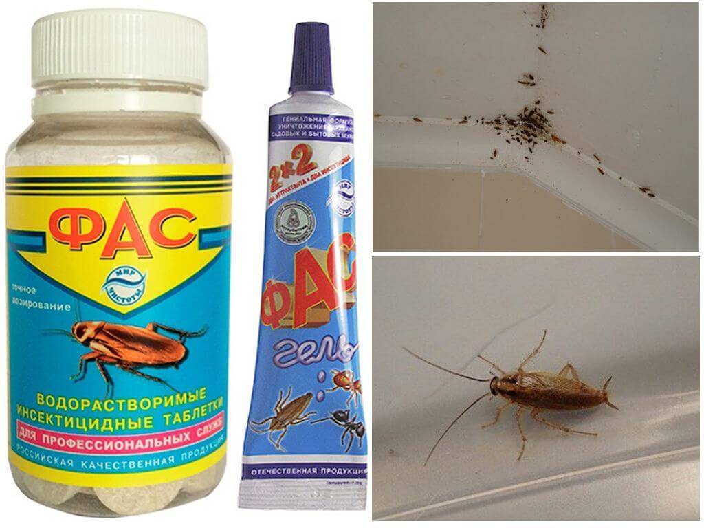 Лучшее средство от тараканов в квартире - рейтинг действенных препаратов