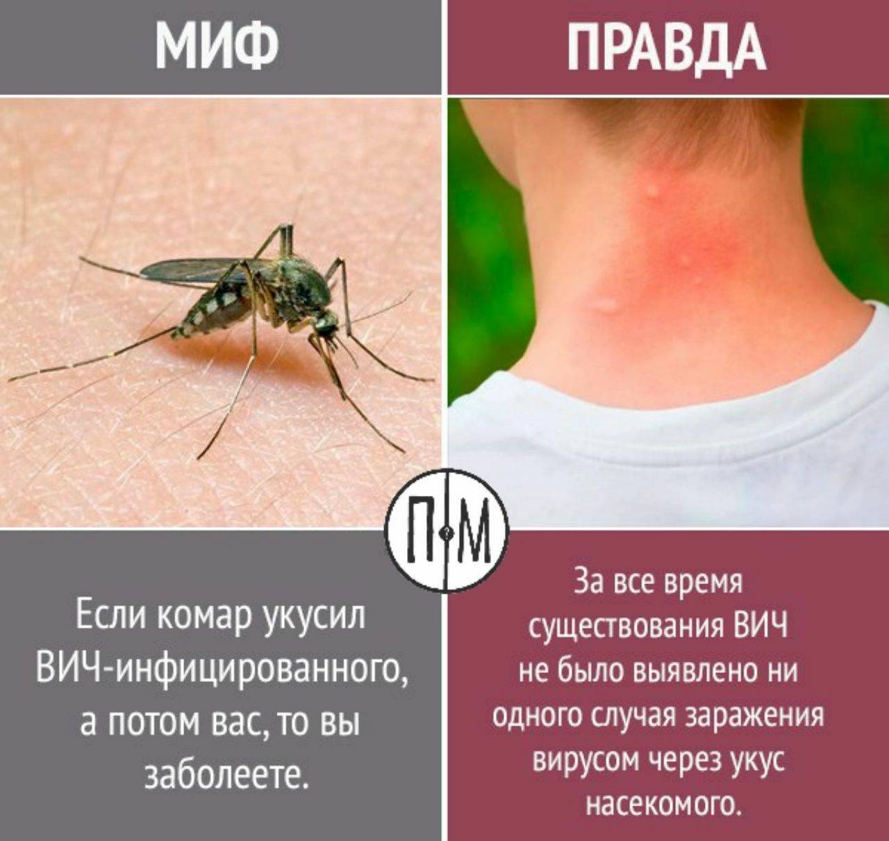 Как видят комары и что их привлекает к человеку