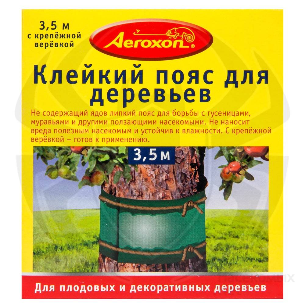 Ловушки для муравьев на деревьях своими руками. ловчие пояса для яблонь — защита от вредителей