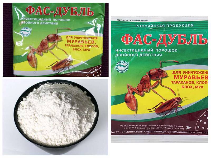 Фас-порошок от тараканов – доступное средство в двух вариантах