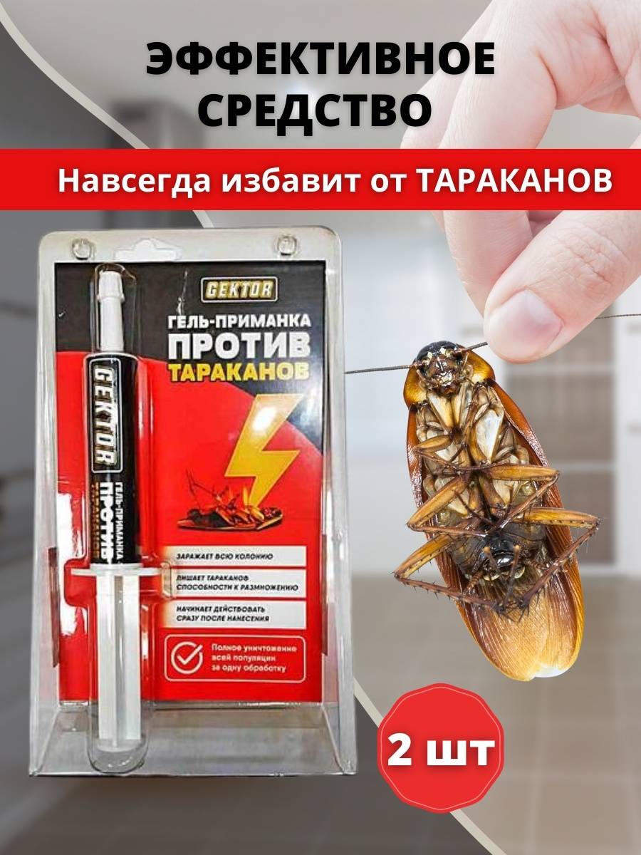 Лучшее средство от тараканов 2022 года: обзор 12 лучших препаратов