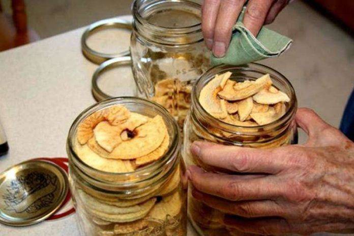 Как хранить сушеные яблоки в домашних условиях, в квартире, чтобы не завелась моль