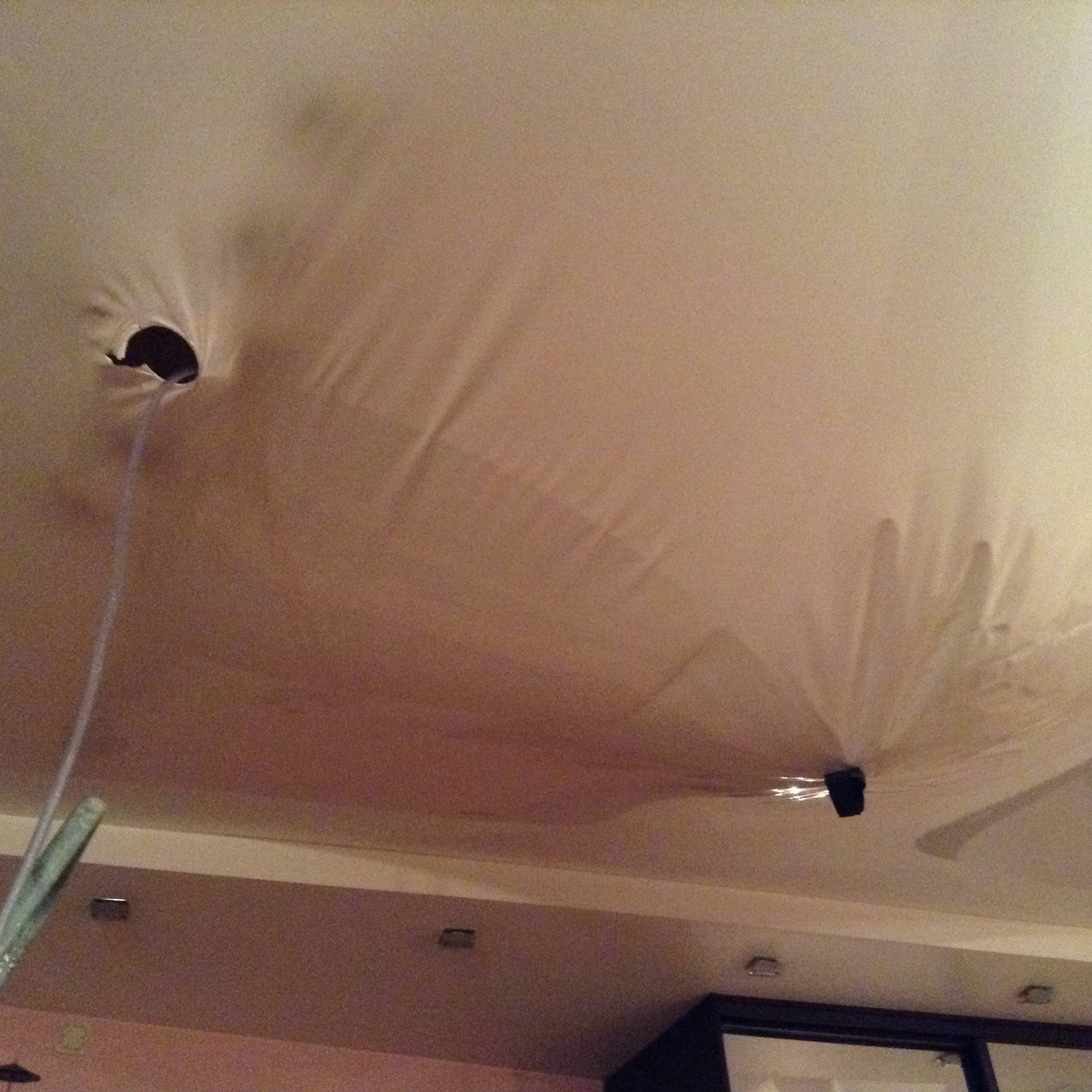 Способы избавиться от мышей под натяжным потолком