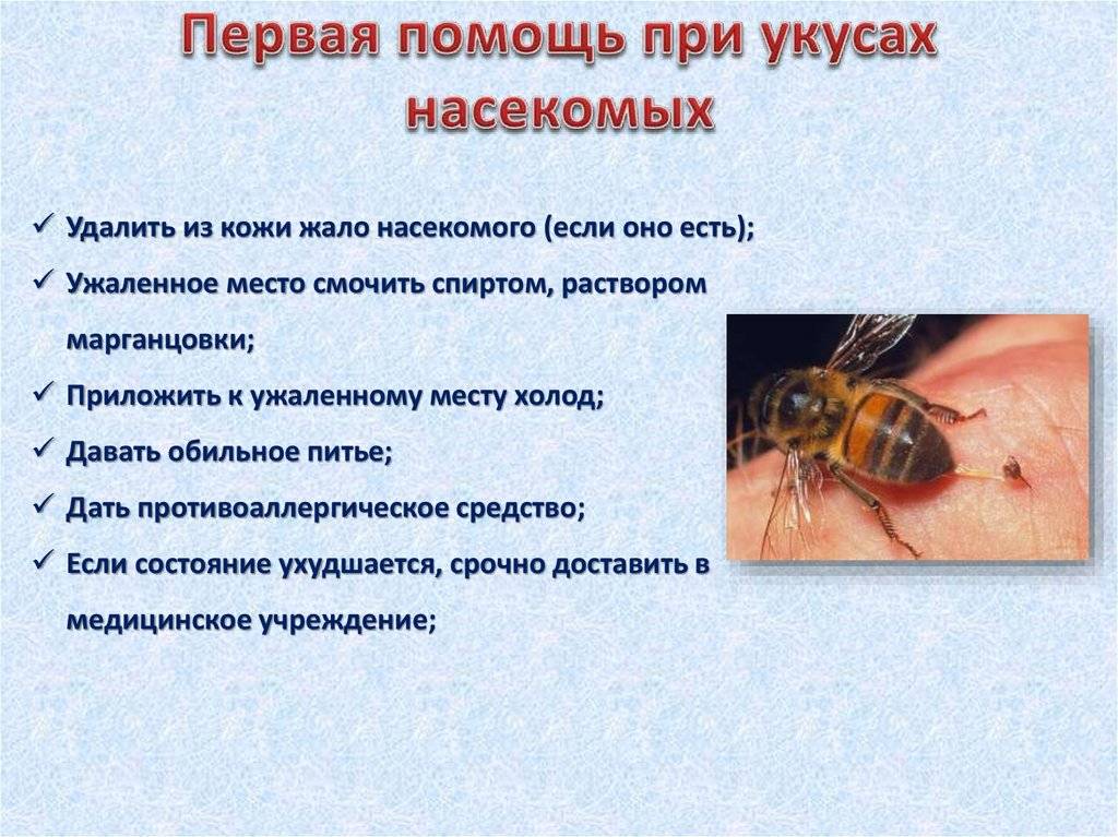 Первая медицинская помощь при укусах насекомых