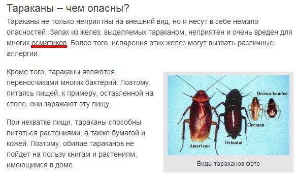 Вредные тараканы: переносчики каких болезней и источники других проблем