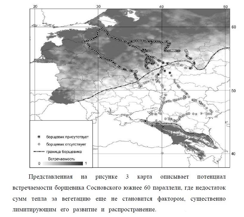 Карта распространения борщевика