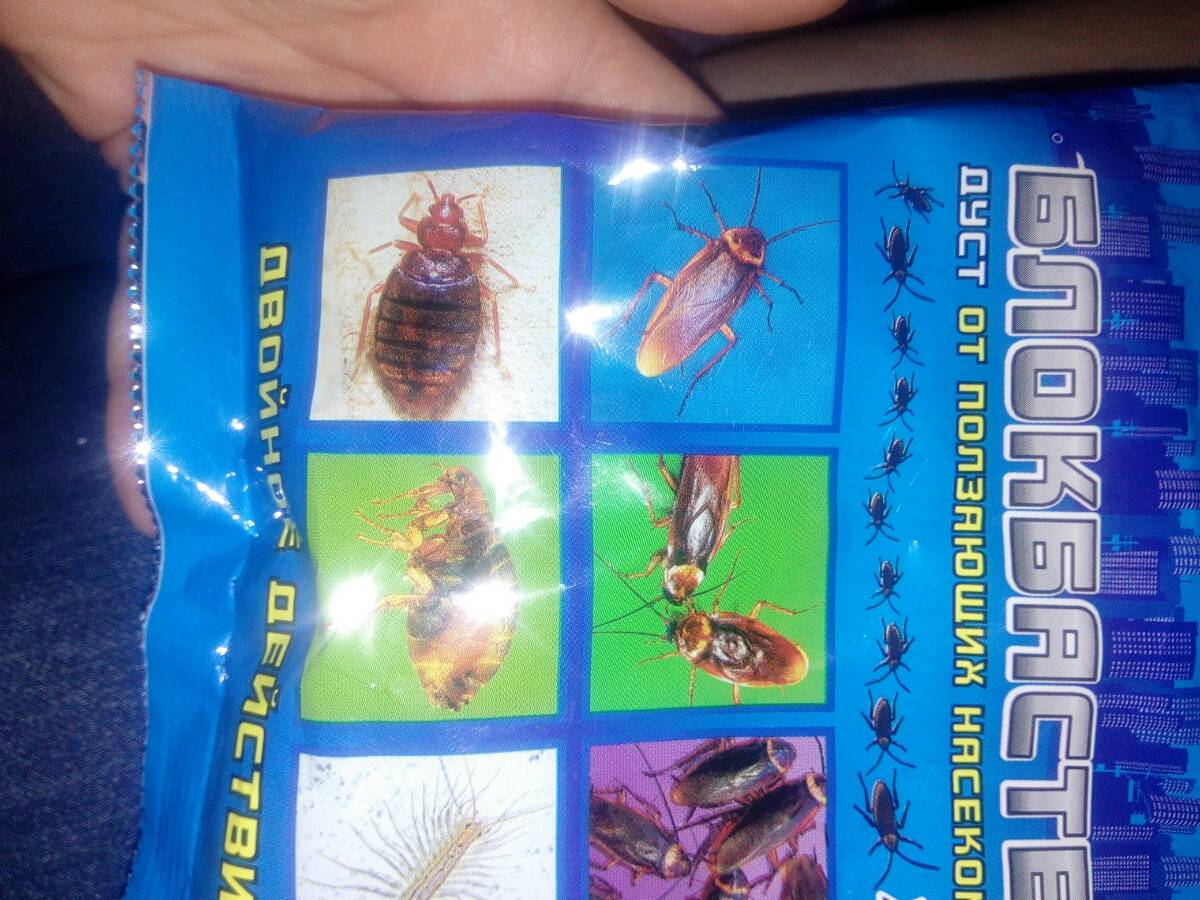 Блокбастер от тараканов, клопов, блох и прочих насекомых