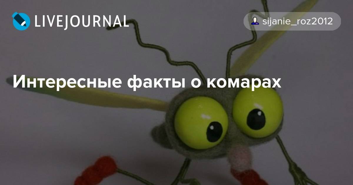 Факты про комаров. интересные факты о комарах, или за что уважать кровососа