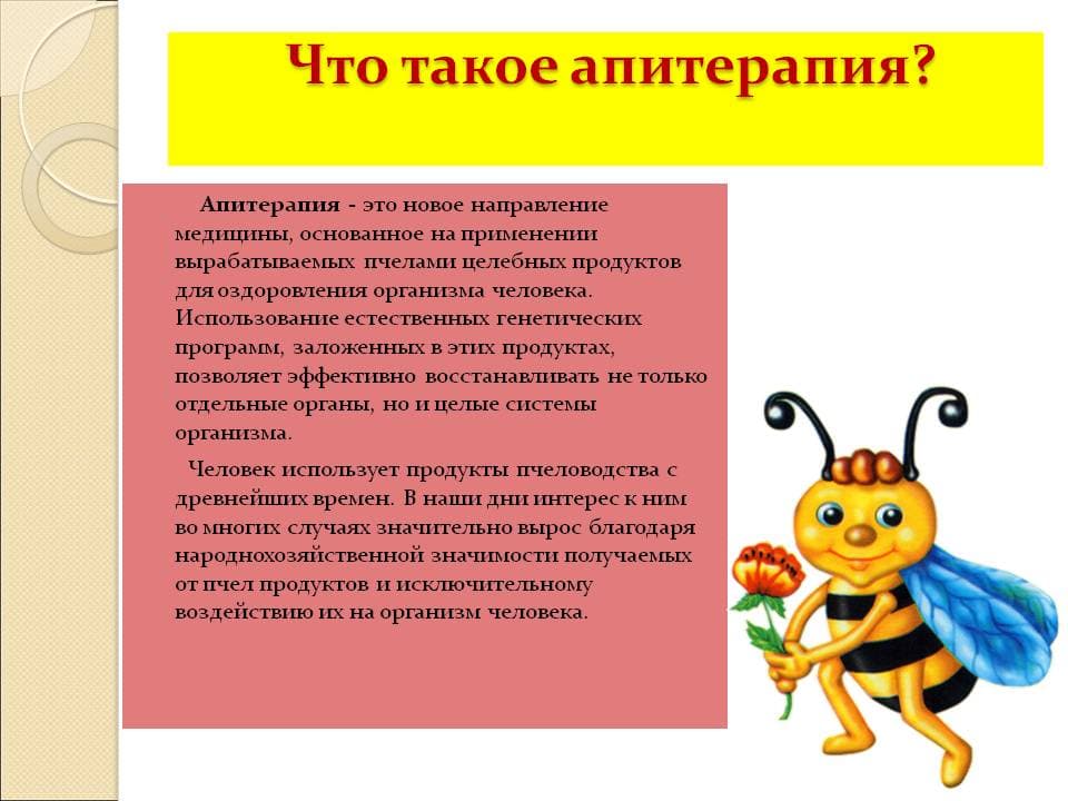Лечение пчелами (апитерапия): пошаговое описание как происходит лечение в домашних условиях (видео + 95 фото)