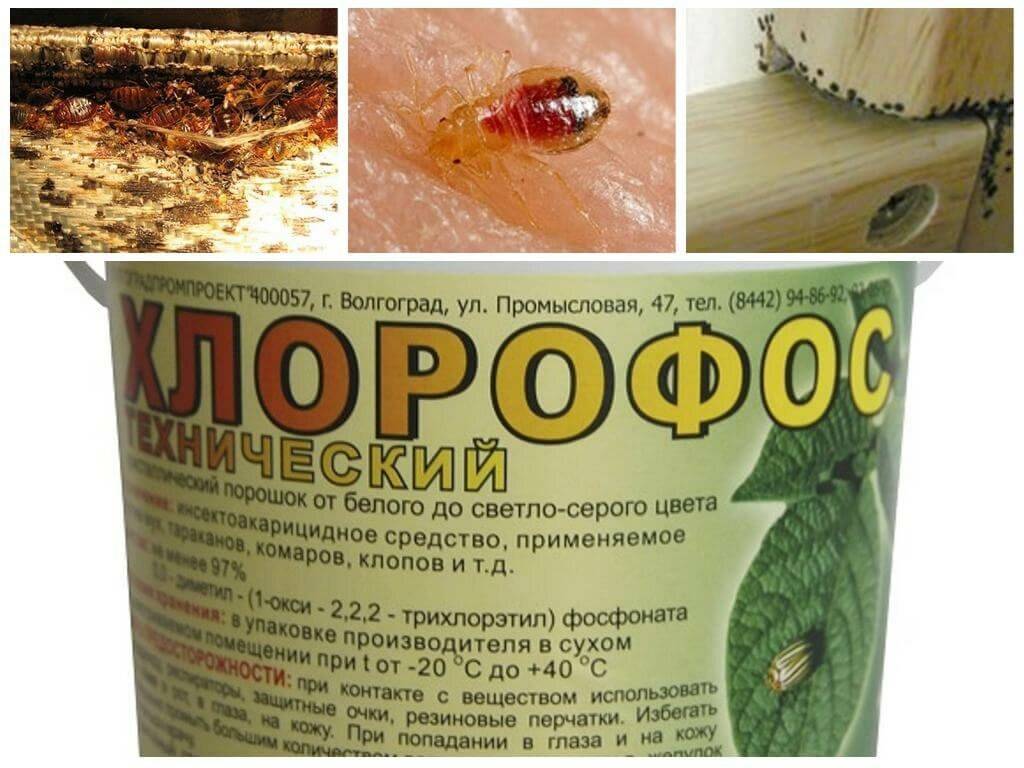Боятся ли клопы (постельные) хлорки: помогает ли, как действует на насекомых, как использовать правильно