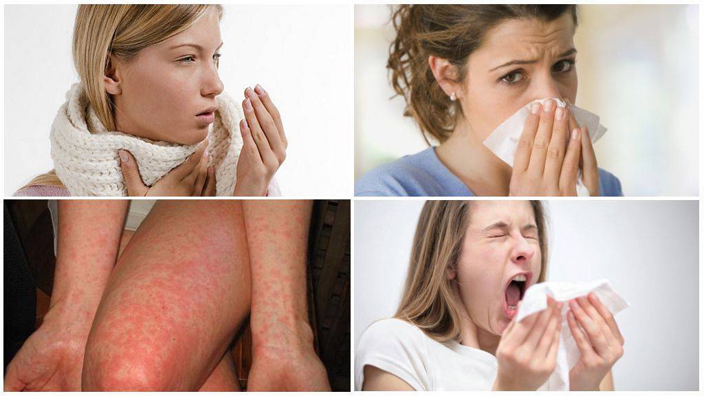 Аллергия на домашнюю пыль, профилактика