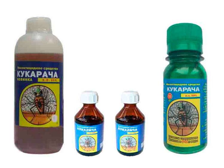 ❶ средство от клопов "кукарача": отзывы покупателей и иструкция по применения инсектицида в разных формах выпуска