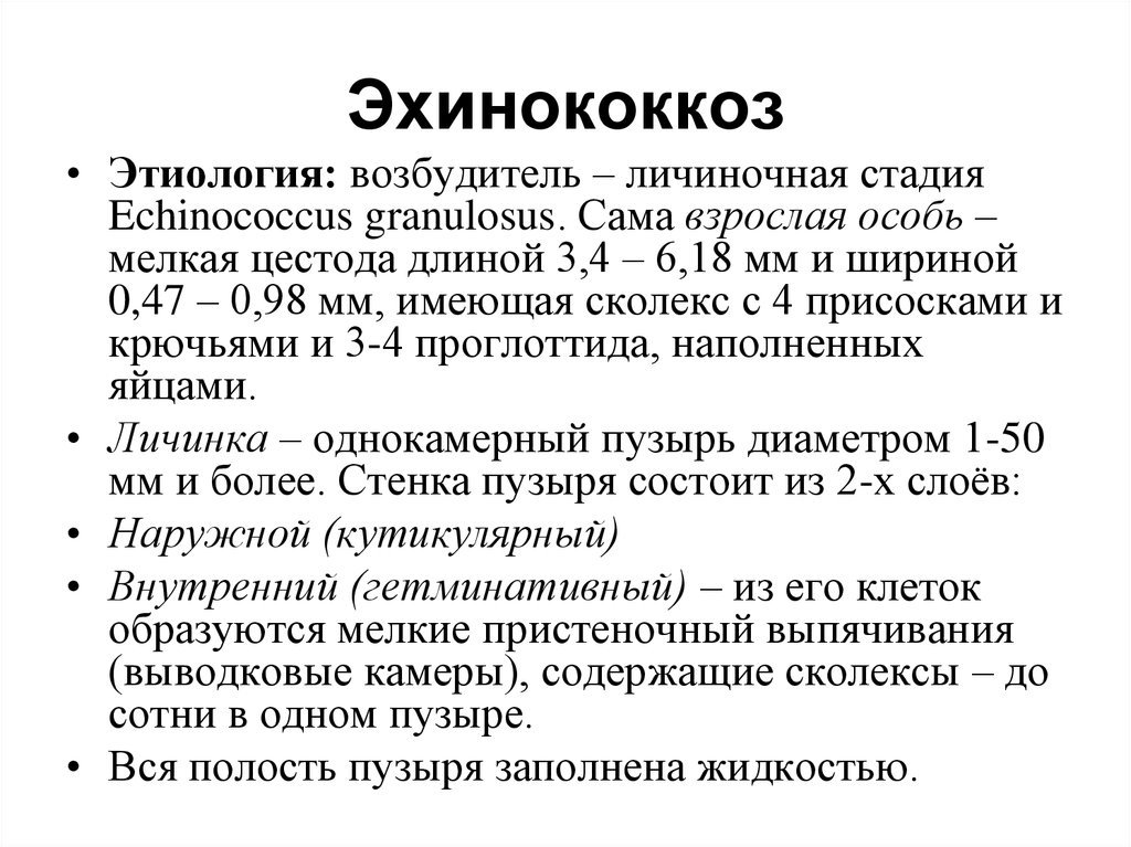 Эхинококк, симптомы эхинококкоза печени и органов дыхания у человека - medside.ru
