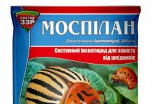 Действенный и безопасный, или как применять столовый уксус от колорадского жука? русский фермер