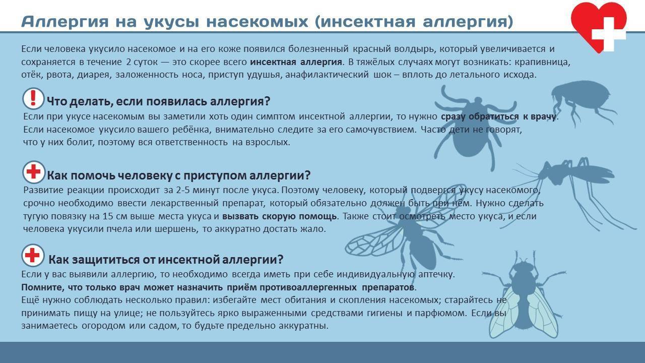 Аллергия на укусы насекомых.!