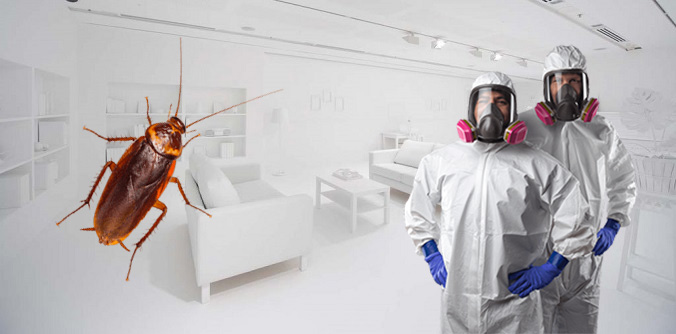Тараканы - чем опасны для человека в квартире, могут ли залезть в ухо, какие болезни переносят