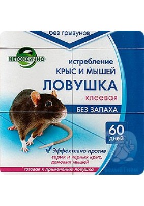 Клей для крыс и мышей, а также против других грызунов: нюансы ловли и отзывы о применении