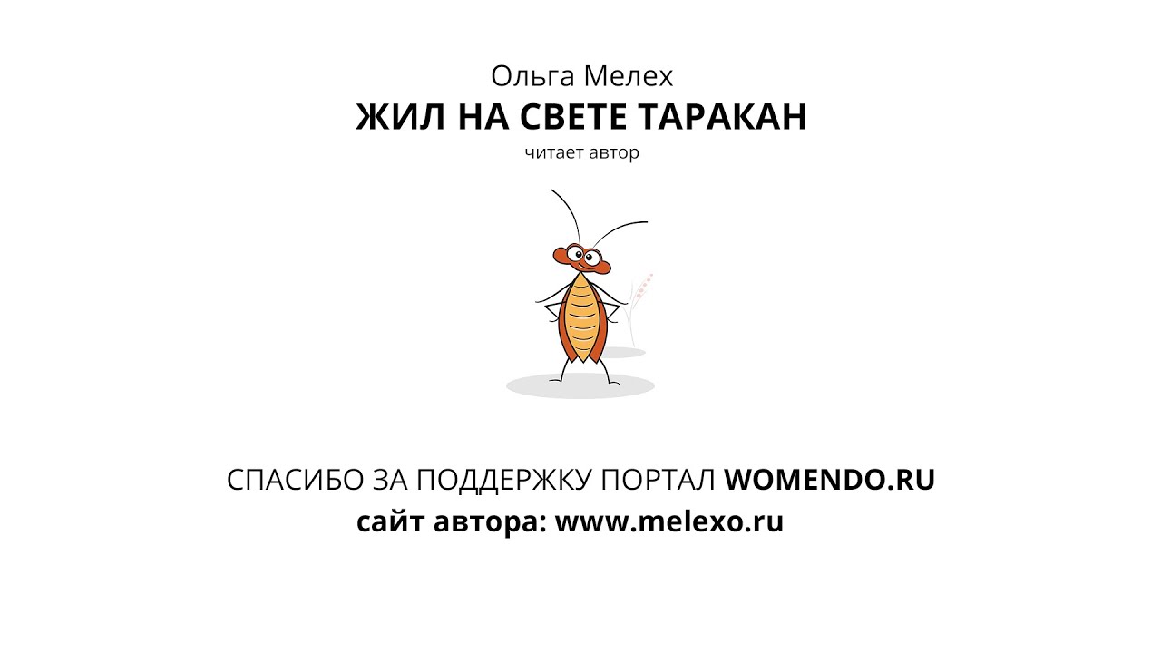 Тараканы прусаки и другие прозвища этих насекомых, почему их часто называют стасиками русский фермер