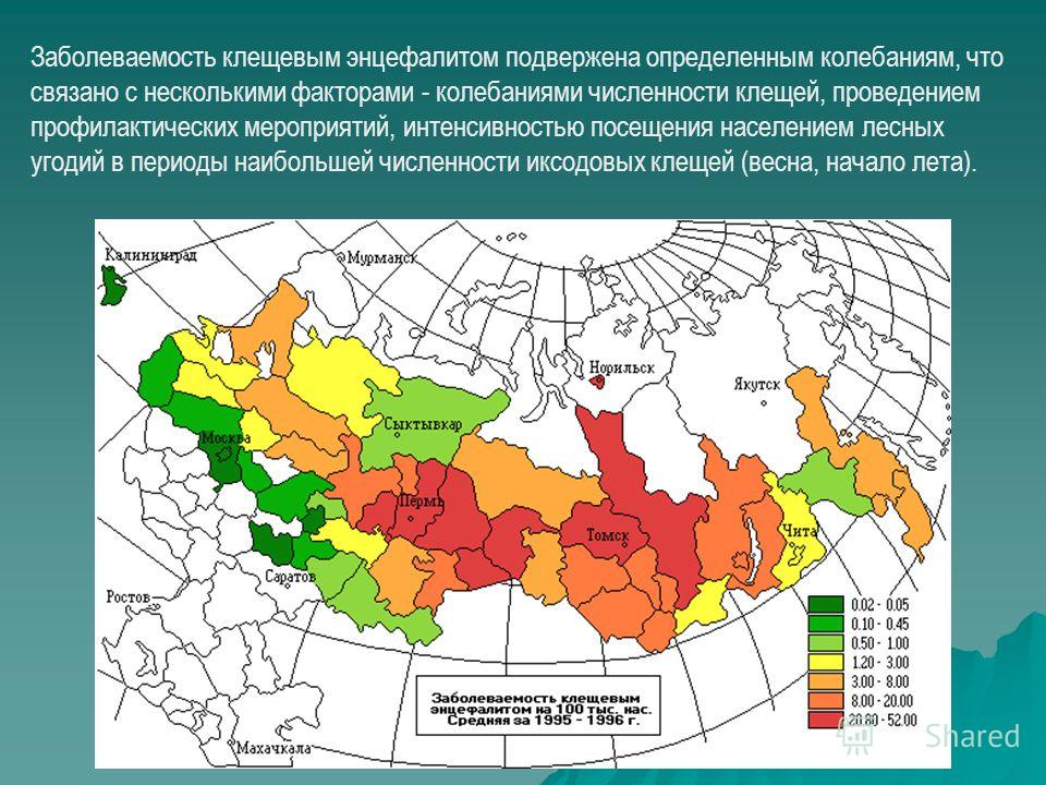 Энцефалитные клещи – описание, среда обитания, распространение в россии