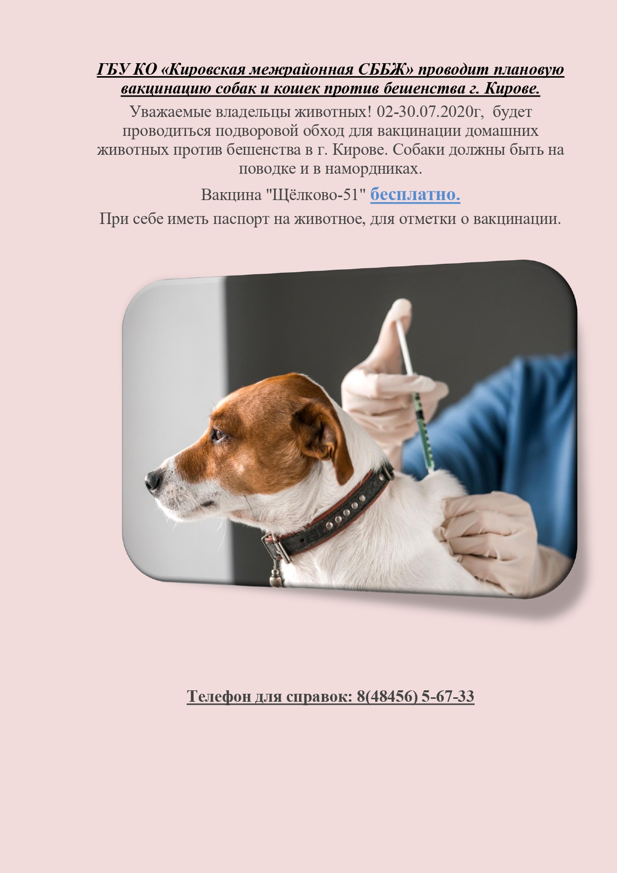 Прививка для собак от клеща