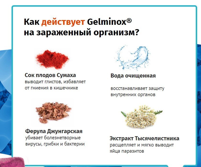Гельминтоз (глисты у человека): причины заболевания, классификация, симптомы, диагностика и лечение, профилактика гельминтоза