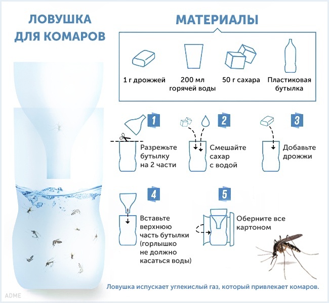 Как избавиться от комаров в квартире: народные и современные средства