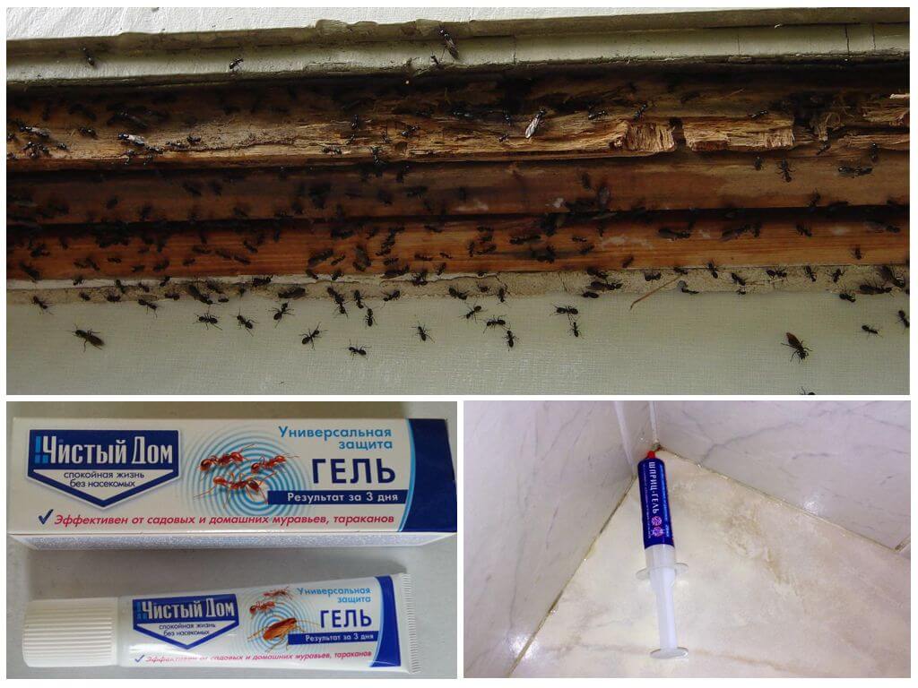 Гель чистый дом от муравьев