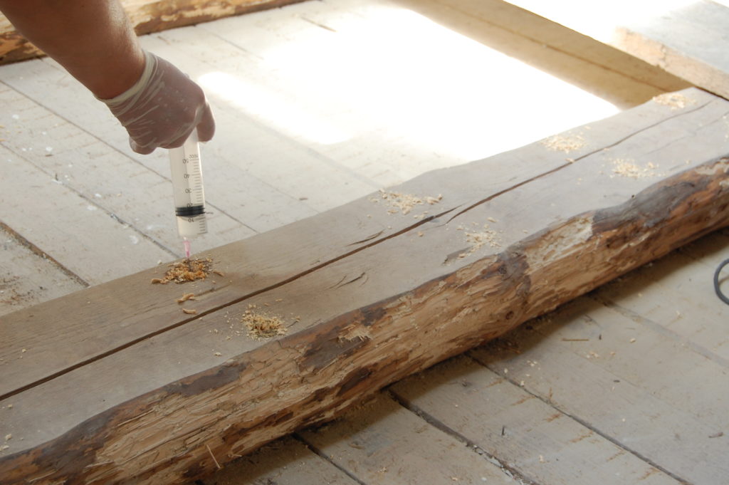 Как избавиться от жука короеда в деревянном доме: проверенные средства, обработка своими руками, вывести и уничтожить самостоятельно
