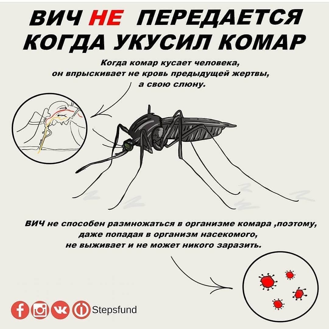 Может ли комар заразить гепатитом с и какими болезнями может?