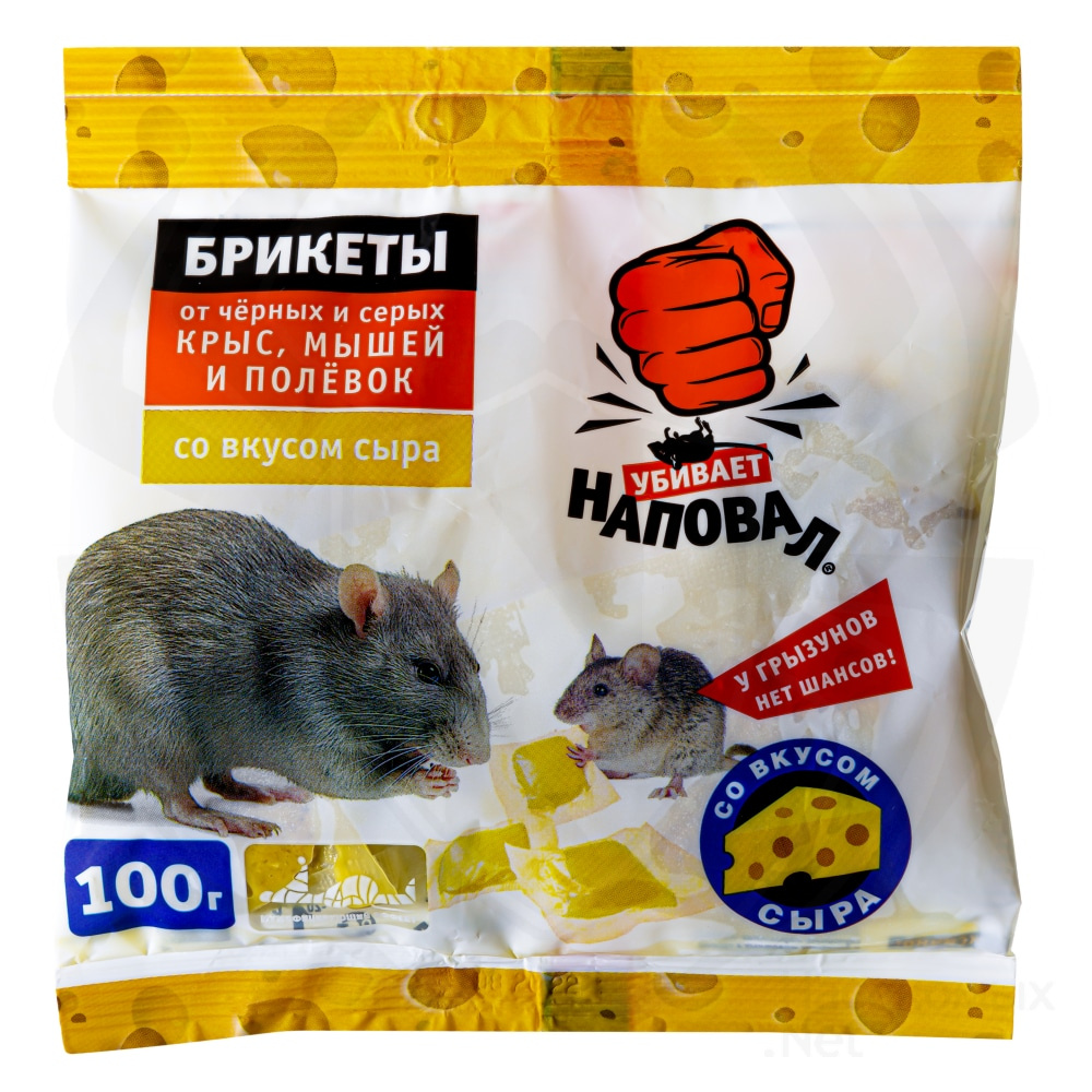 Лучшие приманки для крыс и мышей: что эти грызуны любят больше всего?