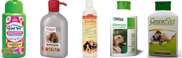 Средство от блох для собак – эффективные шампуни, капли, спреи, порошки, ошейники и таблетки
