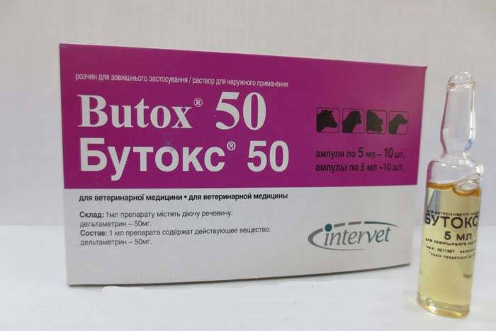 Ветеринарный препарат «бутокс», инструкция по применению, сфера применения :: syl.ru